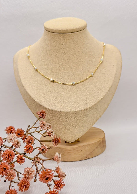 Collar Liah